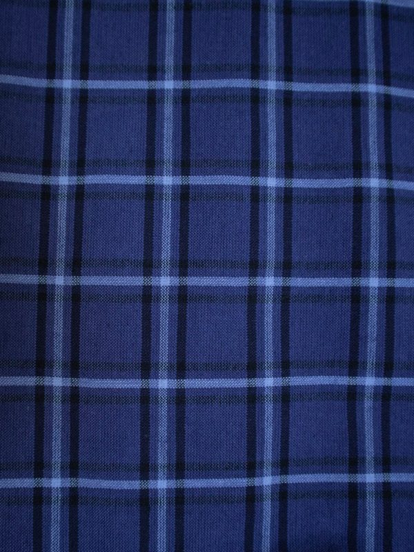 Kavita Dress - Indigo Plaid - Image 4