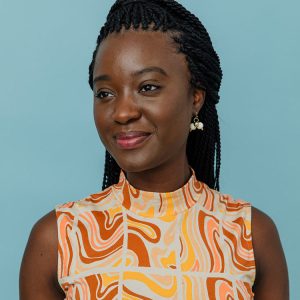 Eve Sleeveless Dress - Sedona Stripe - Image 3